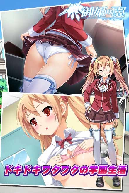御姫の翼画像